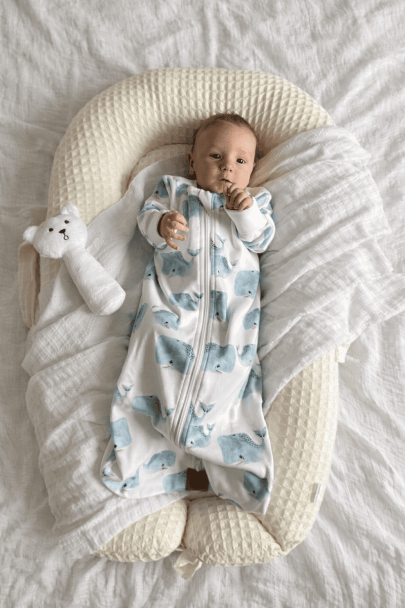 Gigoteuse bébé TOG 1.5 coton interlock manches longues | Turbulette naissance respirante